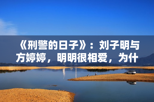 《刑警的日子》：刘子明与方婷婷，明明很相爱，为什么却要分开？