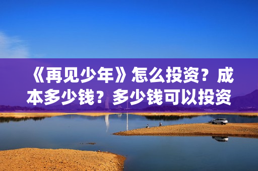 《再见少年》怎么投资？成本多少钱？多少钱可以投资？(再见少年到底怎么了)