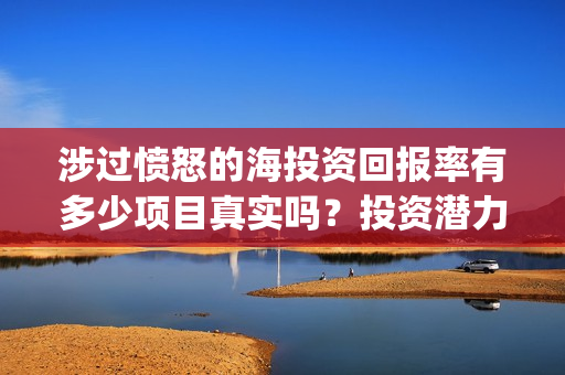 涉过愤怒的海投资回报率有多少项目真实吗？投资潜力高吗？(涉过愤怒的海没过审)