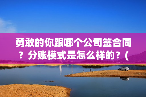 勇敢的你跟哪个公司签合同？分账模式是怎么样的？(勇敢的你跟哪个电影相似)