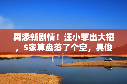 再添新剧情！汪小菲出大招，S家算盘落了个空，具俊晔或往外吐钱