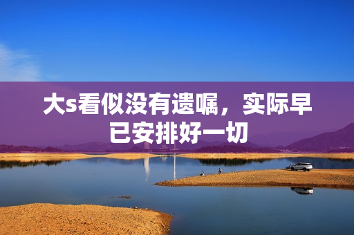 大s看似没有遗嘱，实际早已安排好一切