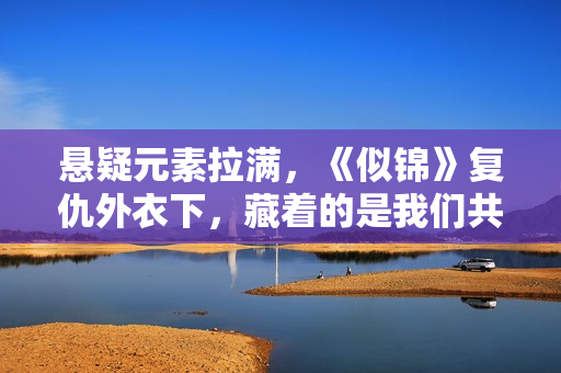 悬疑元素拉满，《似锦》复仇外衣下，藏着的是我们共通的价值证明