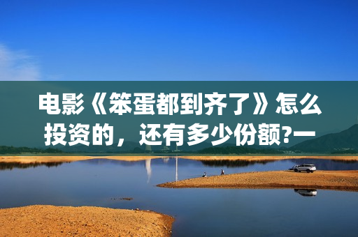 电影《笨蛋都到齐了》怎么投资的，还有多少份额?一个份额多少钱?(笨蛋idiot)