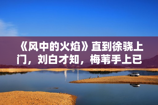 《风中的火焰》直到徐骁上门，刘白才知，梅苇手上已有四条人命