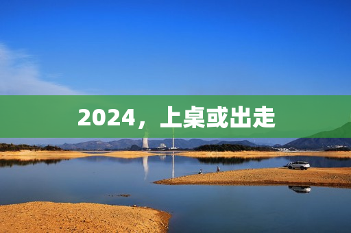 2024，上桌或出走