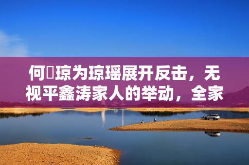何琇琼为琼瑶展开反击，无视平鑫涛家人的举动，全家报平安