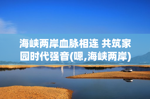 海峡两岸血脉相连 共筑家园时代强音(嗯,海峡两岸)