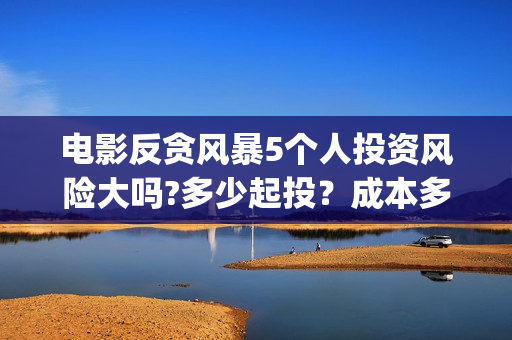 电影反贪风暴5个人投资风险大吗?多少起投？成本多少(电影反贪风暴5国语免费观看高清)