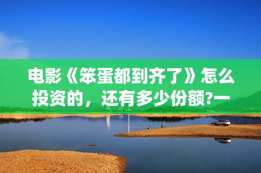 电影《笨蛋都到齐了》怎么投资的，还有多少份额?一个份额多少钱?(笨蛋1+1)