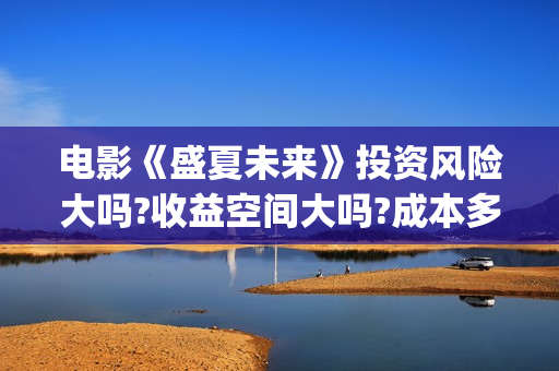 电影《盛夏未来》投资风险大吗?收益空间大吗?成本多少?(电影《盛夏未来》在线看)