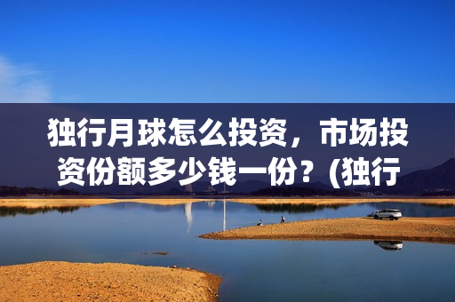 独行月球怎么投资，市场投资份额多少钱一份？(独行月球投资方)