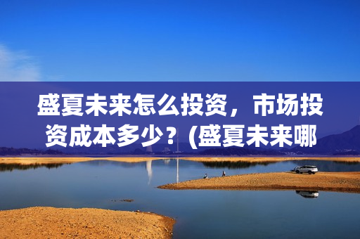 盛夏未来怎么投资，市场投资成本多少？(盛夏未来哪个平台)