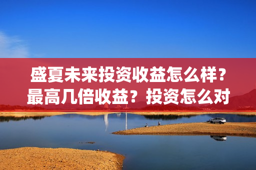 盛夏未来投资收益怎么样？最高几倍收益？投资怎么对接？(盛夏未来投资收益怎么样)