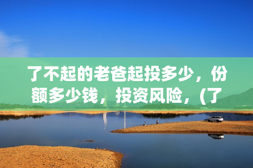 了不起的老爸起投多少，份额多少钱，投资风险，(了不起的老爸主要演员)