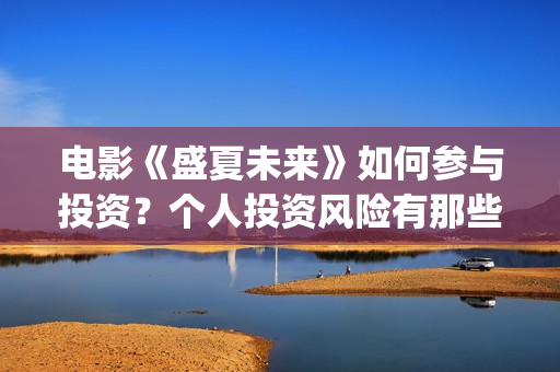 电影《盛夏未来》如何参与投资？个人投资风险有那些？成本多少？(电影《盛夏未来》)