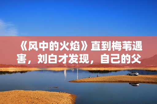 《风中的火焰》直到梅苇遇害，刘白才发现，自己的父亲还活着