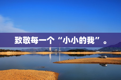 致敬每一个“小小的我”。