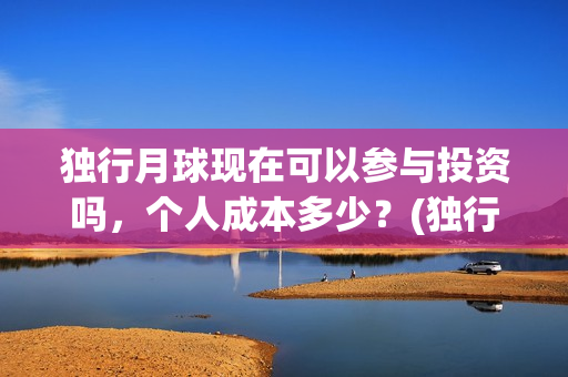 独行月球现在可以参与投资吗，个人成本多少？(独行月球结局什么意思)