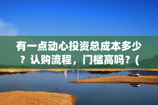 有一点动心投资总成本多少？认购流程，门槛高吗？(有一点动心出品方)