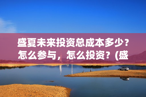 盛夏未来投资总成本多少？怎么参与，怎么投资？(盛夏未来详情)