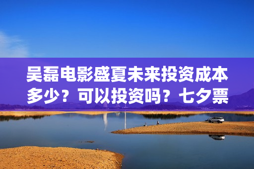 吴磊电影盛夏未来投资成本多少？可以投资吗？七夕票房好不好？(吴磊电影盛夏未来)