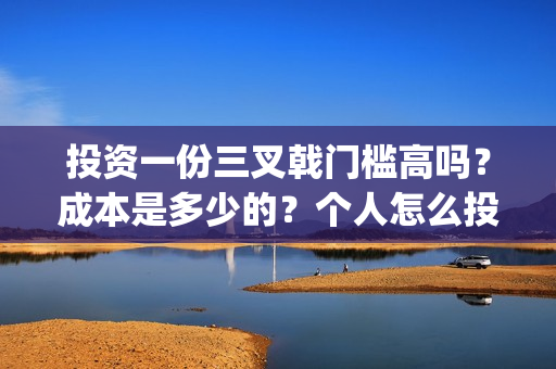 投资一份三叉戟门槛高吗？成本是多少的？个人怎么投资参与一份？(三叉戟造价)