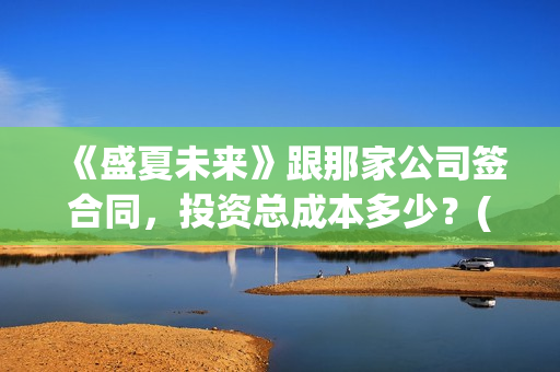 《盛夏未来》跟那家公司签合同，投资总成本多少？(盛夏未来同款)