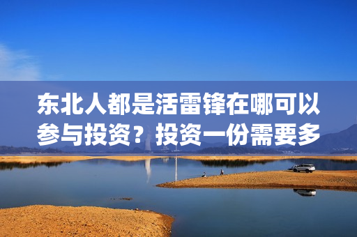 东北人都是活雷锋在哪可以参与投资？投资一份需要多少钱？(东北人都是活雷锋 歌词)