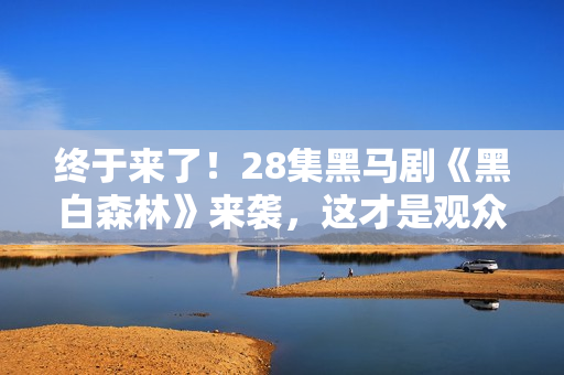 终于来了！28集黑马剧《黑白森林》来袭，这才是观众爱看的刑侦剧