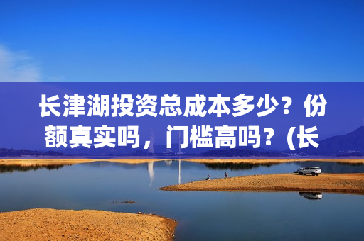 长津湖投资总成本多少？份额真实吗，门槛高吗？(长津湖投资规模)