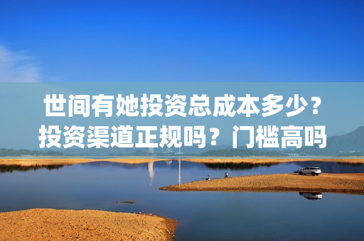 世间有她投资总成本多少？投资渠道正规吗？门槛高吗？(世间有她投资公司)