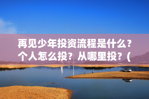 再见少年投资流程是什么？个人怎么投？从哪里投？(再见少年怎么样)