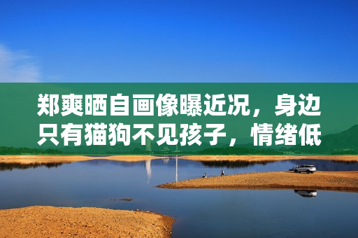 郑爽晒自画像曝近况，身边只有猫狗不见孩子，情绪低落惹人担忧