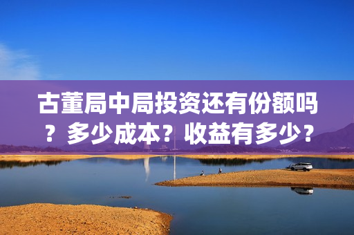 古董局中局投资还有份额吗？多少成本？收益有多少？(古董局中局制作团队)