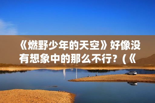 《燃野少年的天空》好像没有想象中的那么不行？(《燃野少年的天空》续集)