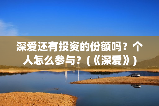 深爱还有投资的份额吗？个人怎么参与？(《深爱》)