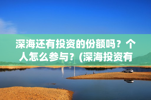 深海还有投资的份额吗？个人怎么参与？(深海投资有限公司)