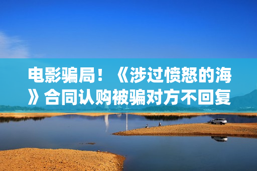 电影骗局！《涉过愤怒的海》合同认购被骗对方不回复怎么办？怎么追回资金？(电影诈骗案件立案后公安会怎么处理)