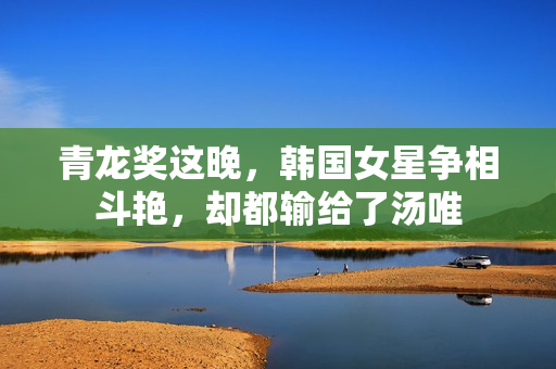 青龙奖这晚，韩国女星争相斗艳，却都输给了汤唯