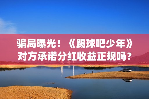 骗局曝光！《踢球吧少年》对方承诺分红收益正规吗？交钱进去被骗怎么办？(网络用语踢是什么意思)