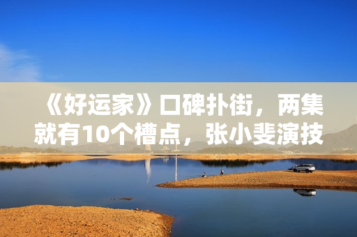 《好运家》口碑扑街，两集就有10个槽点，张小斐演技好也带不动