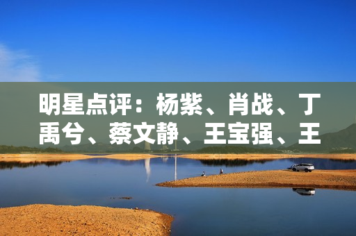 明星点评：杨紫、肖战、丁禹兮、蔡文静、王宝强、王鹤棣
