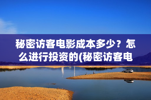 秘密访客电影成本多少？怎么进行投资的(秘密访客电影名)