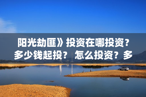 阳光劫匪》投资在哪投资？多少钱起投？ 怎么投资？多少起投？(阳光劫匪投资赚钱吗)