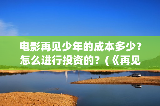 电影再见少年的成本多少？怎么进行投资的？(《再见少年》)