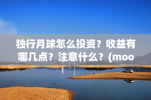 独行月球怎么投资？收益有哪几点？注意什么？(moonyou-独行月球)