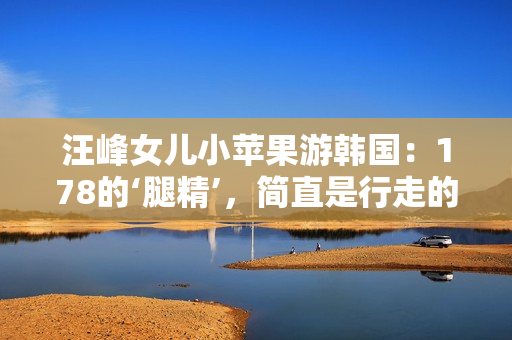 汪峰女儿小苹果游韩国：178的‘腿精’，简直是行走的颜值担当！