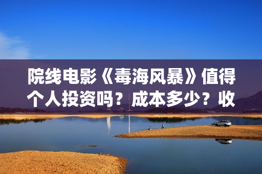 院线电影《毒海风暴》值得个人投资吗？成本多少？收益空间如何？(毒海风云简介)