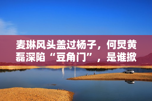 麦琳风头盖过杨子，何炅黄磊深陷“豆角门”，是谁掀起全民骂战？